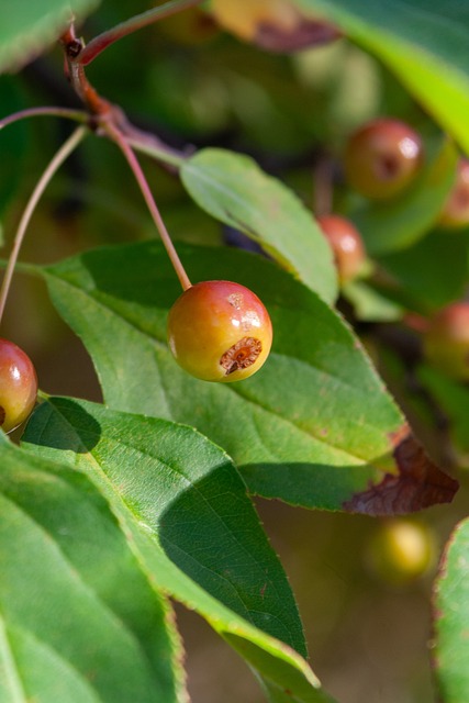 在職業運動 在職業運動