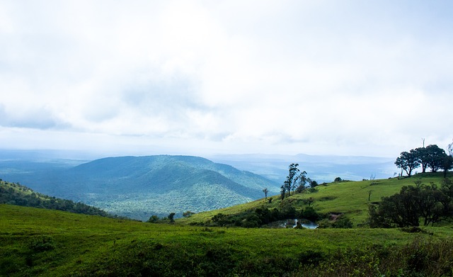 在高水平足 在高水平足